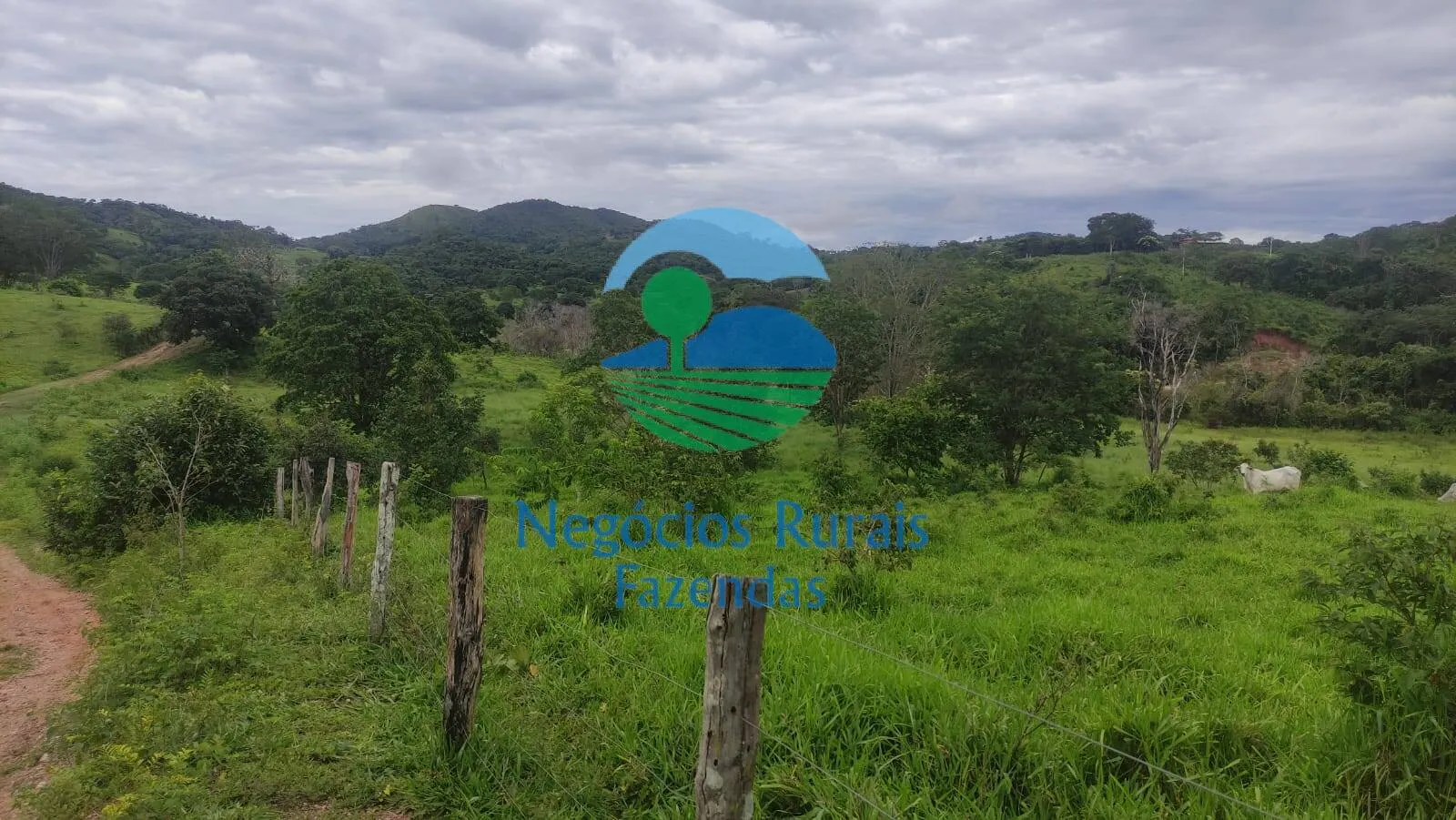 Fazenda à venda de 145 ha em Uruaçu, GO, Brasil