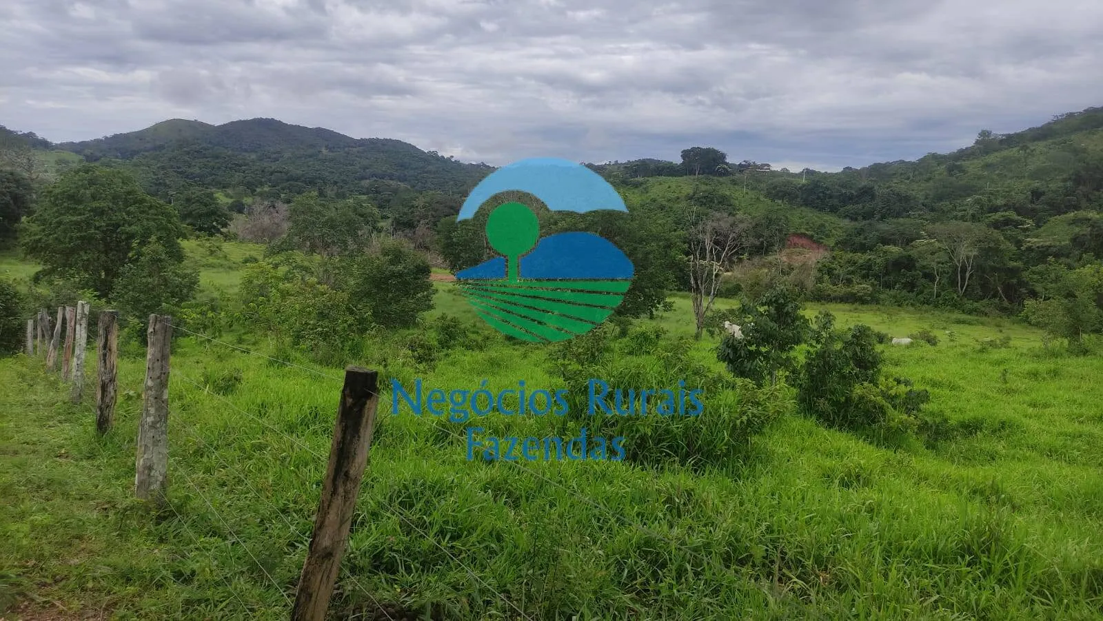 Fazenda à venda de 145 ha em Uruaçu, GO, Brasil