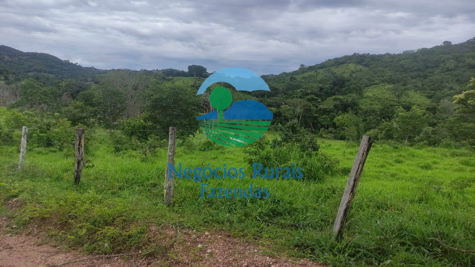 Fazenda à venda de 145 ha em Uruaçu, GO, Brasil