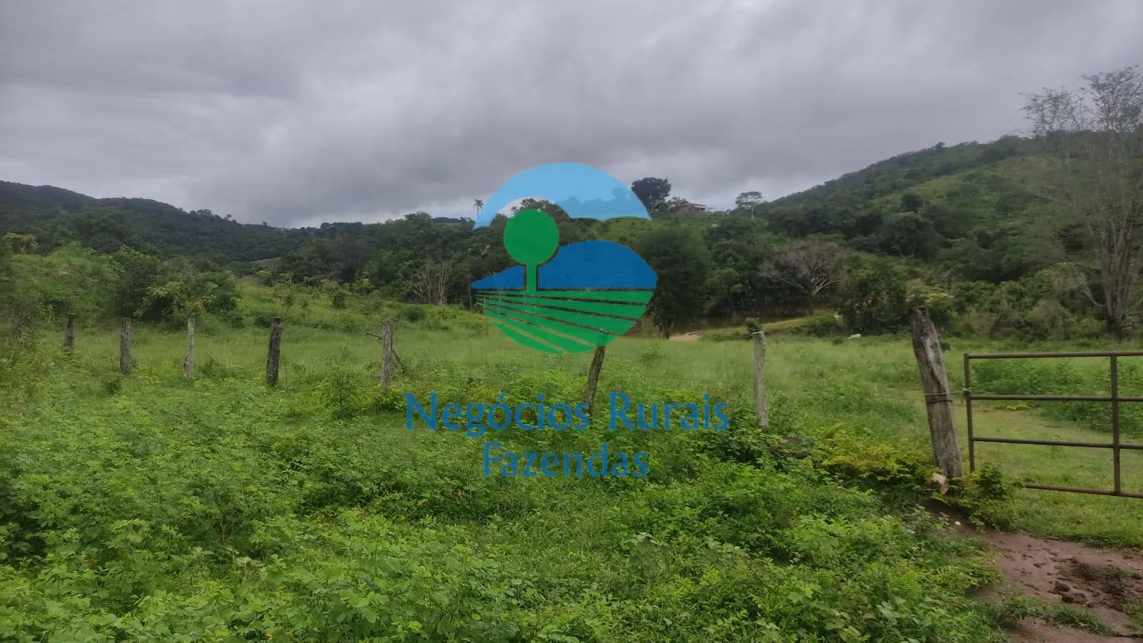 Fazenda à venda de 145 ha em Uruaçu, GO, Brasil