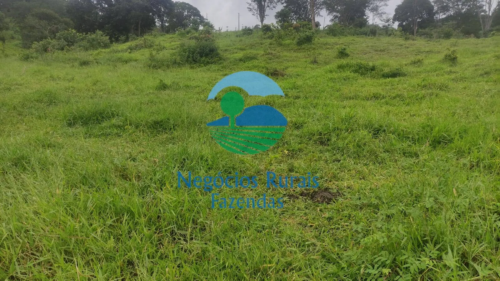 Fazenda à venda de 145 ha em Uruaçu, GO, Brasil