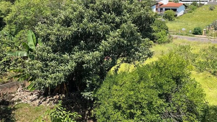 Plot for sale of 900 m² in Santo Antônio da Patrulha, RS, Brazil