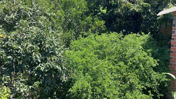 Plot for sale of 900 m² in Santo Antônio da Patrulha, RS, Brazil