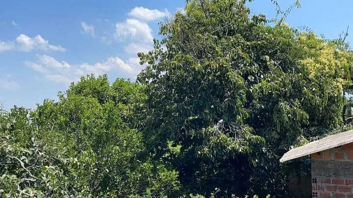 Plot for sale of 900 m² in Santo Antônio da Patrulha, RS, Brazil