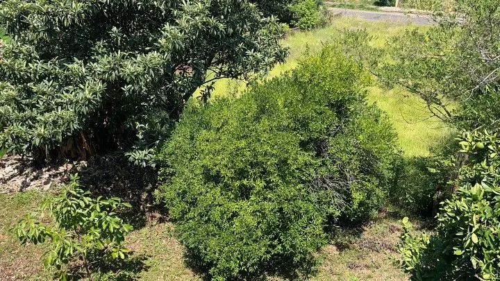 Plot for sale of 900 m² in Santo Antônio da Patrulha, RS, Brazil