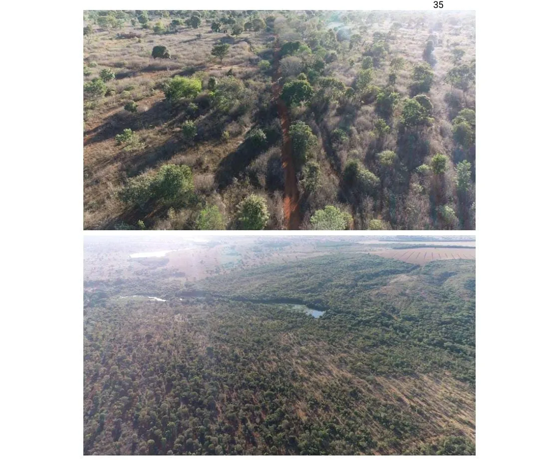 Fazenda à venda de 884 ha em Paracatu, MG, Brasil
