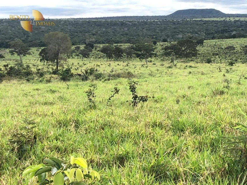 Fazenda à venda de 645 ha em Barra do Garças, MT, Brasil