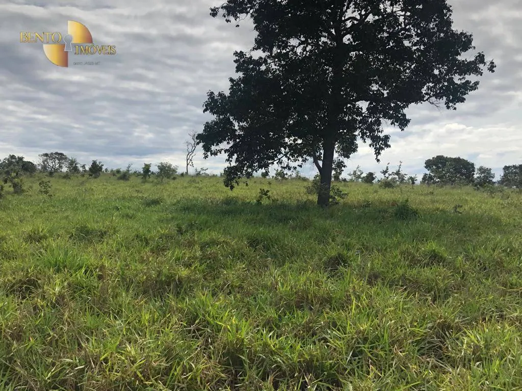 Fazenda à venda de 645 ha em Barra do Garças, MT, Brasil
