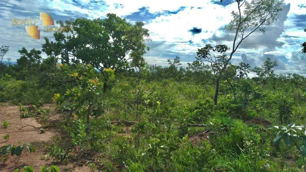 Fazenda à venda de 1.000 ha em Nova Mutum, MT, Brasil