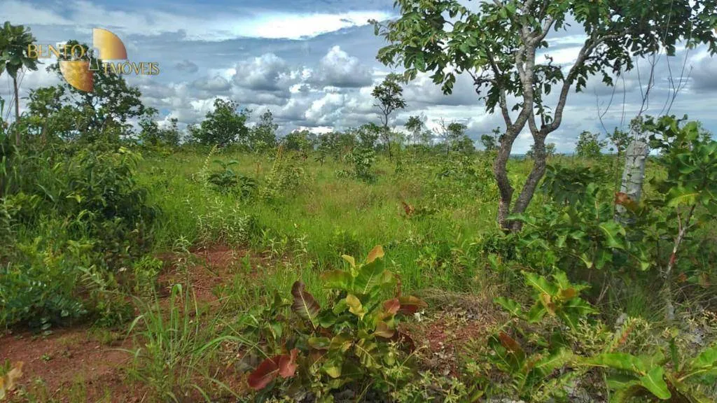 Fazenda à venda de 1.000 ha em Nova Mutum, MT, Brasil