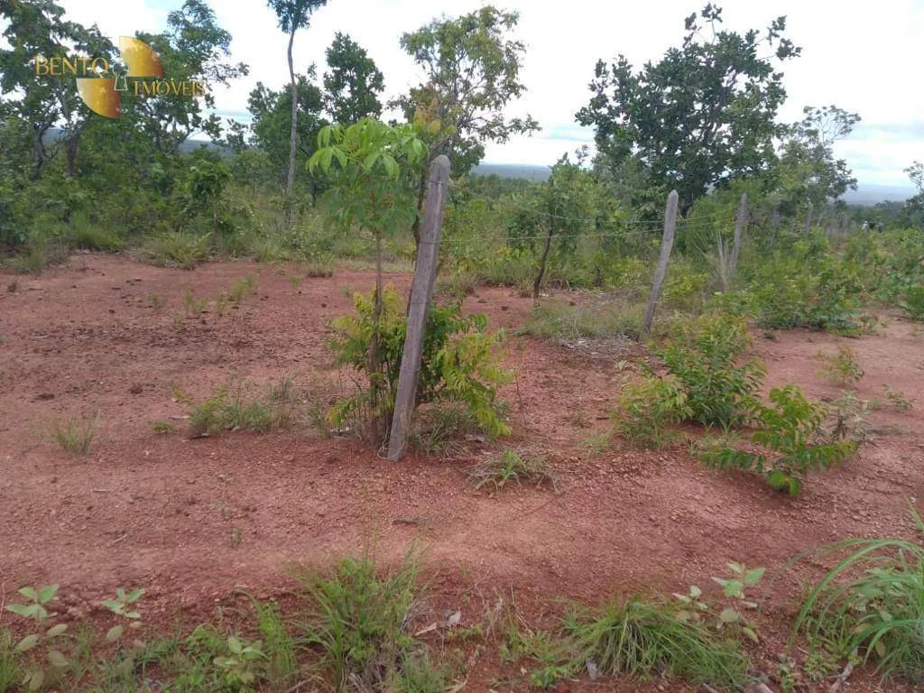 Fazenda à venda de 1.000 ha em Nova Mutum, MT, Brasil