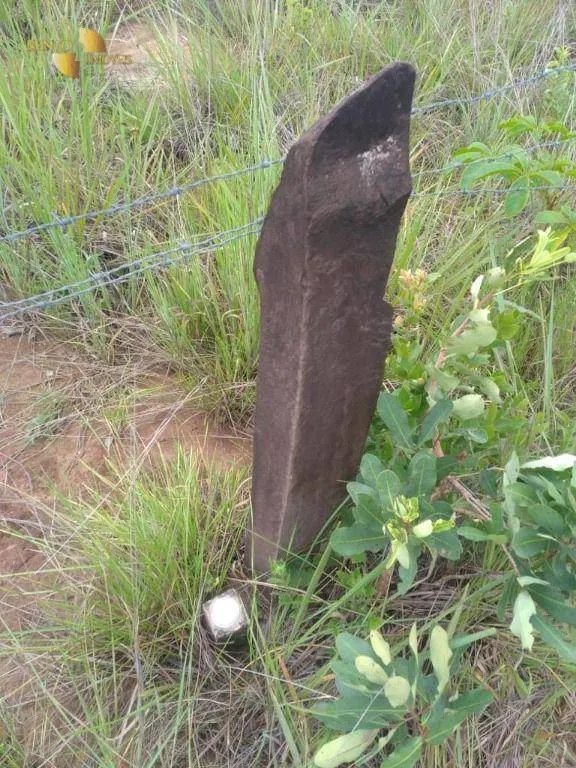 Fazenda à venda de 1.000 ha em Nova Mutum, MT, Brasil