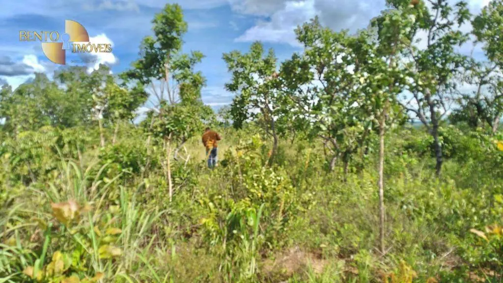Fazenda à venda de 1.000 ha em Nova Mutum, MT, Brasil