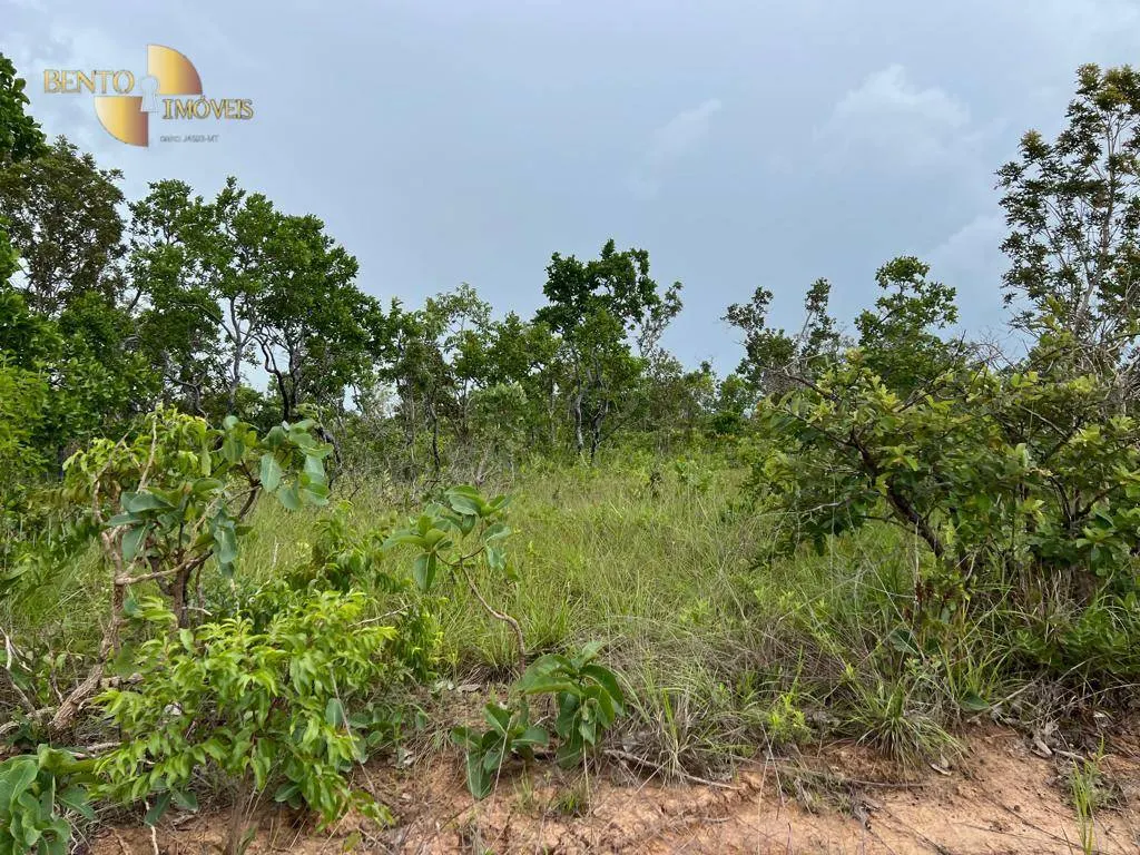 Fazenda à venda de 1.000 ha em Nova Mutum, MT, Brasil