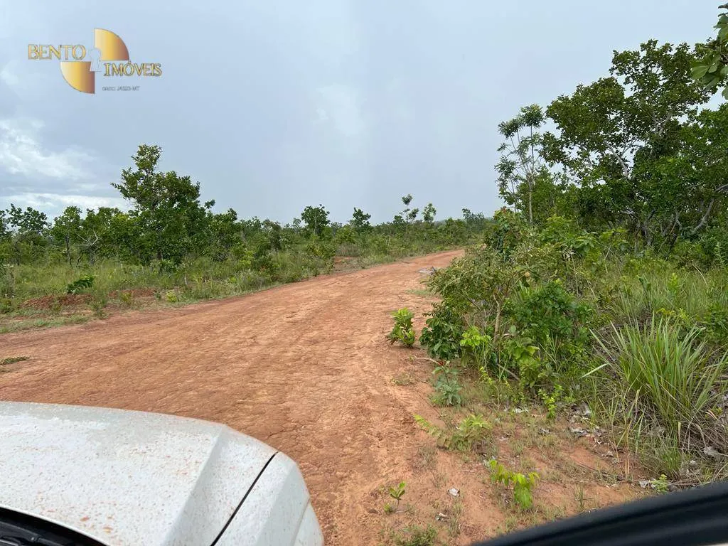 Fazenda à venda de 1.000 ha em Nova Mutum, MT, Brasil