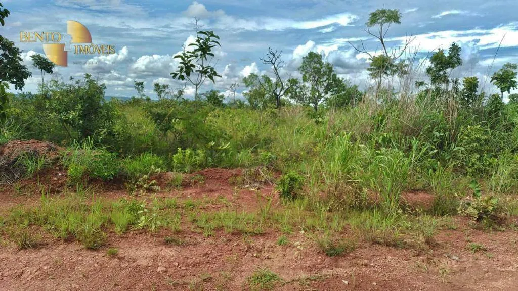 Fazenda à venda de 1.000 ha em Nova Mutum, MT, Brasil