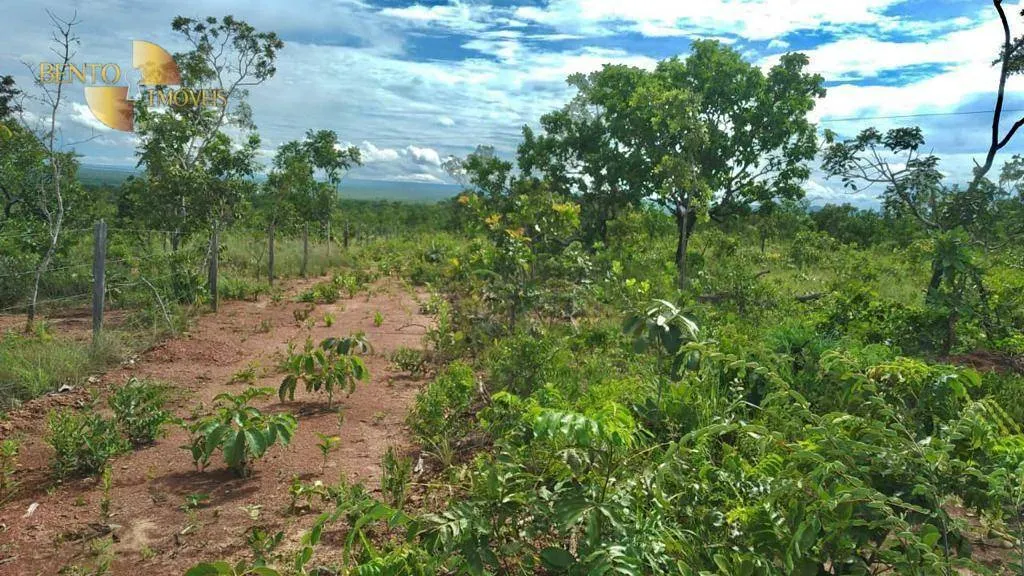 Fazenda à venda de 1.000 ha em Nova Mutum, MT, Brasil