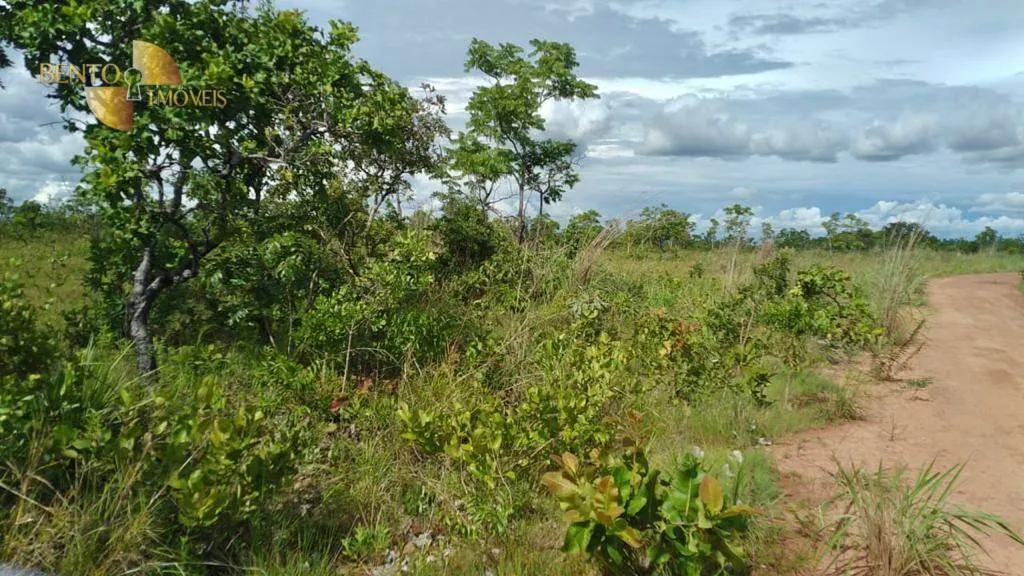 Fazenda à venda de 1.000 ha em Nova Mutum, MT, Brasil