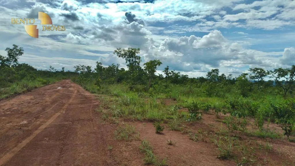 Fazenda à venda de 1.000 ha em Nova Mutum, MT, Brasil