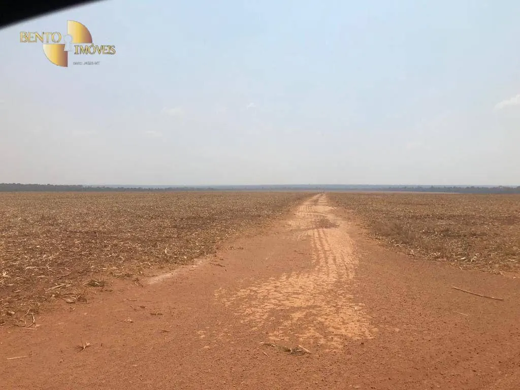 Farm for sale of 8,278 acres in Sorriso, MT, Brazil