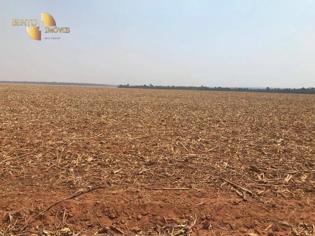 Farm for sale of 8,278 acres in Sorriso, MT, Brazil