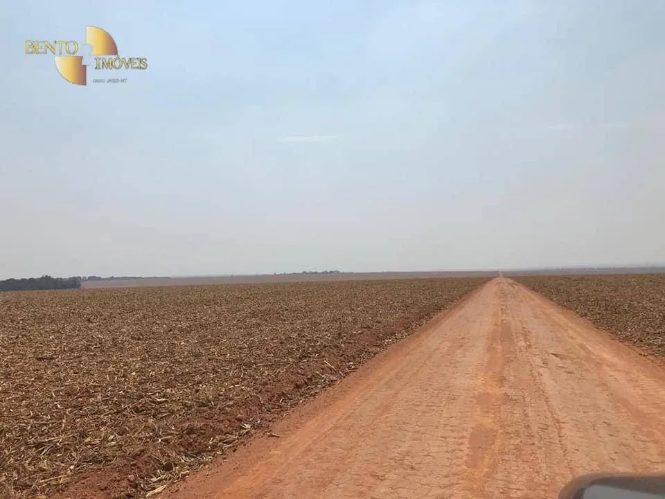 Farm for sale of 8,278 acres in Sorriso, MT, Brazil