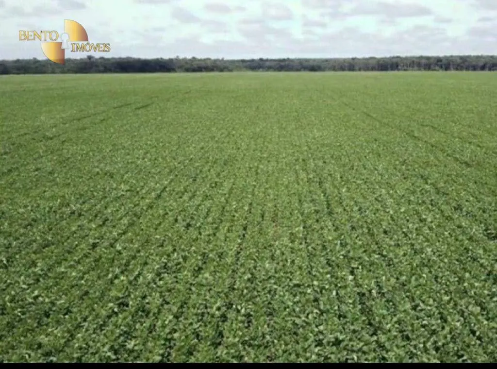 Farm for sale of 8,278 acres in Sorriso, MT, Brazil