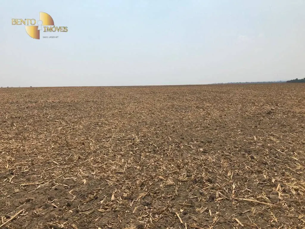 Farm for sale of 8,278 acres in Sorriso, MT, Brazil