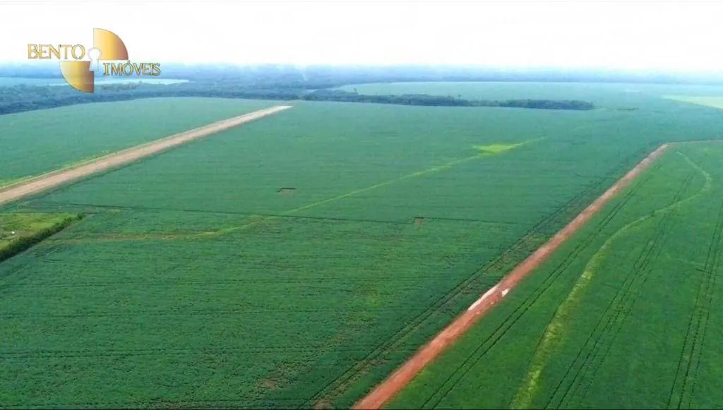 Fazenda à venda de 3.350 ha em Sorriso, MT, Brasil