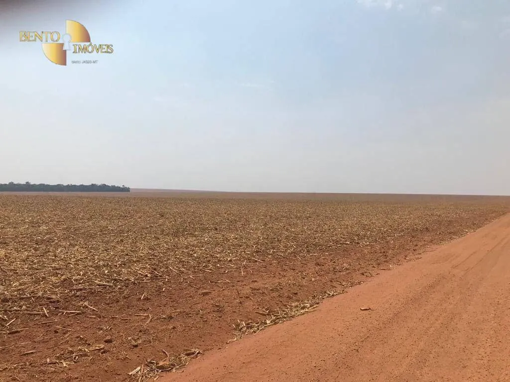 Farm for sale of 8,278 acres in Sorriso, MT, Brazil