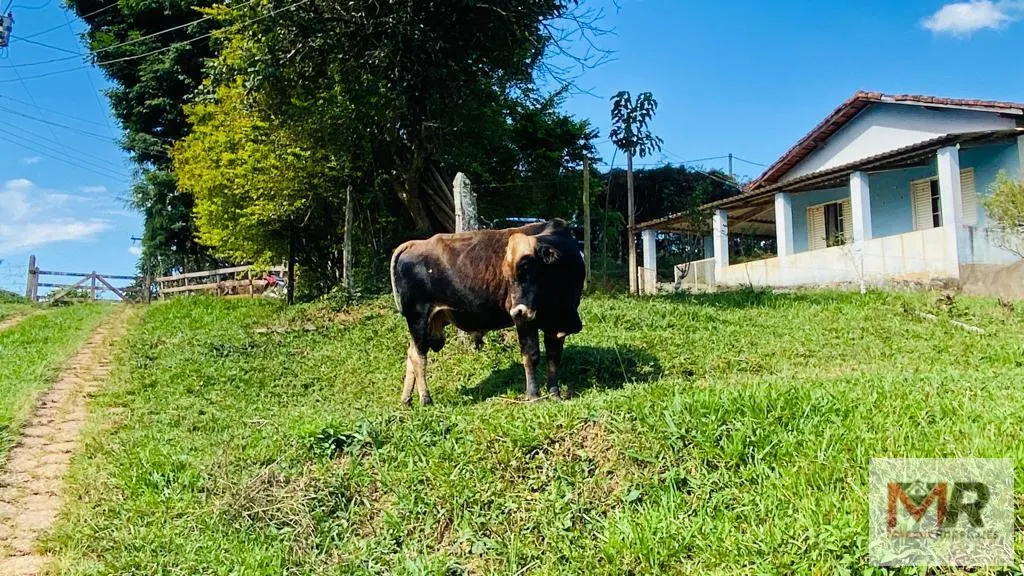 Small farm for sale of 3 acres in Estiva, MG, Brazil