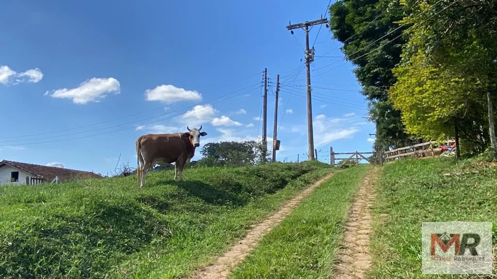 Small farm for sale of 3 acres in Estiva, MG, Brazil