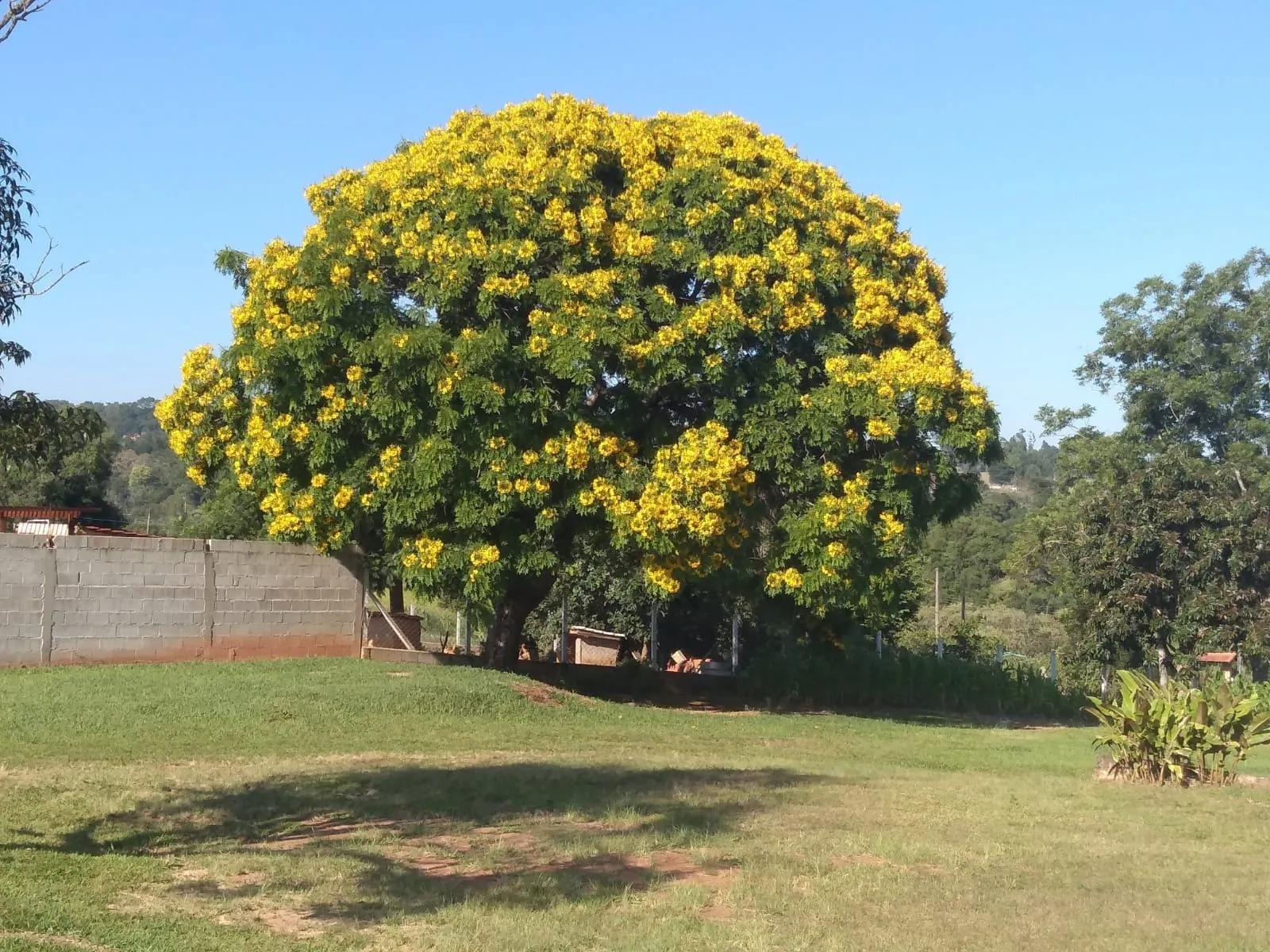 Chácara à venda de 5.800 m² em Pilar do Sul, SP, Brasil