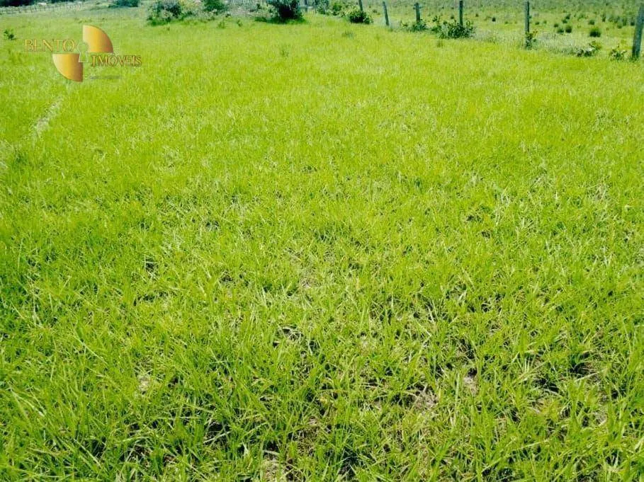 Fazenda à venda de 9.985 ha em Cuiabá, MT, Brasil