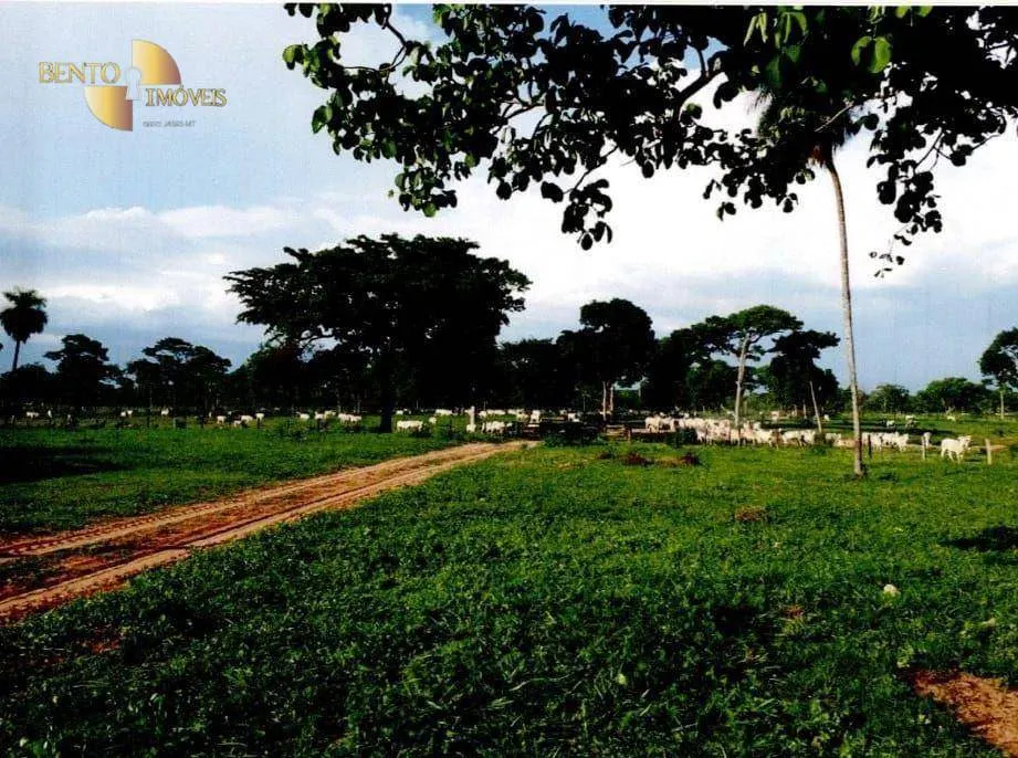 Fazenda à venda de 9.985 ha em Cuiabá, MT, Brasil
