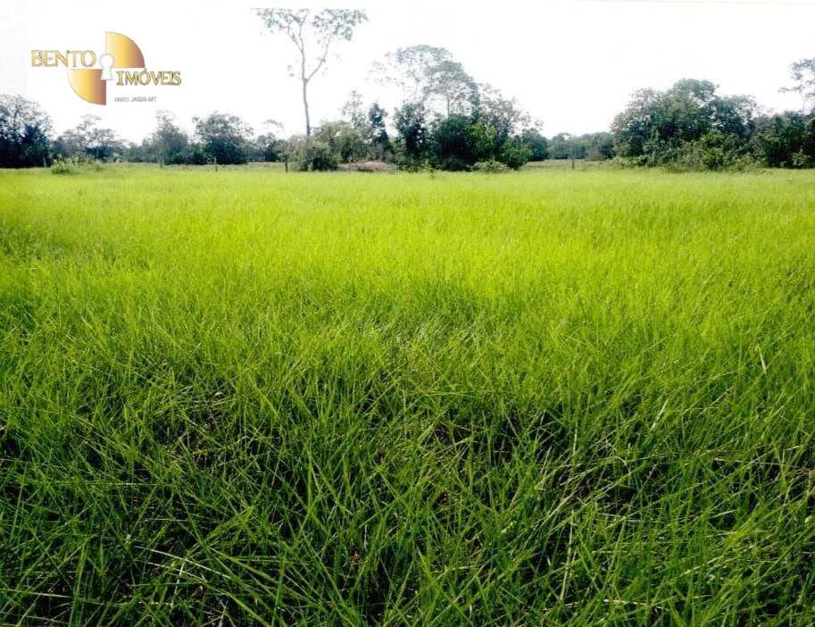 Fazenda à venda de 9.985 ha em Cuiabá, MT, Brasil