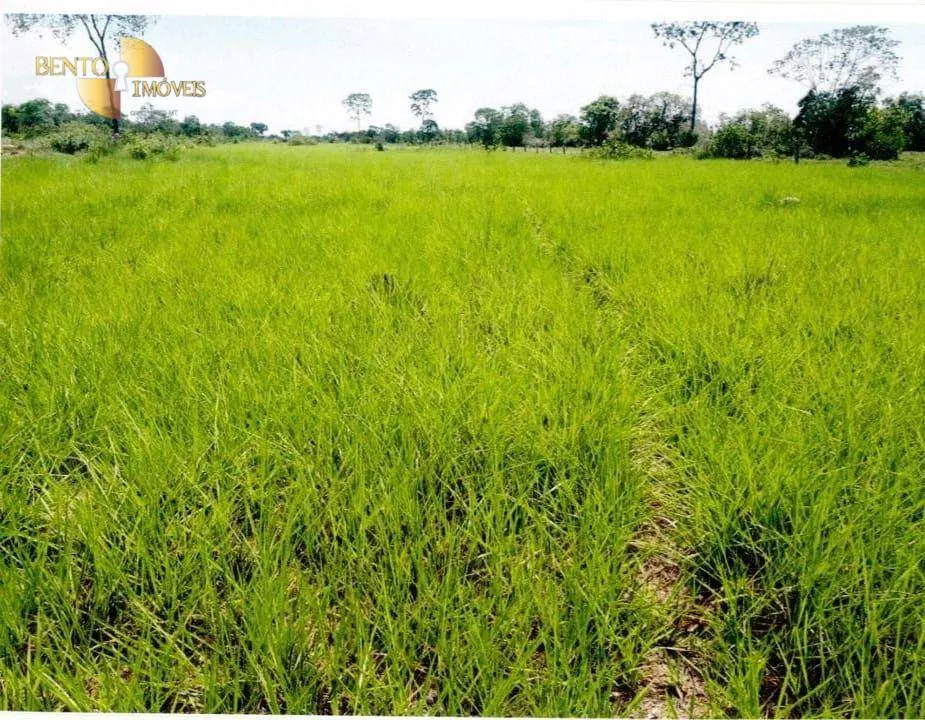 Fazenda à venda de 9.985 ha em Cuiabá, MT, Brasil