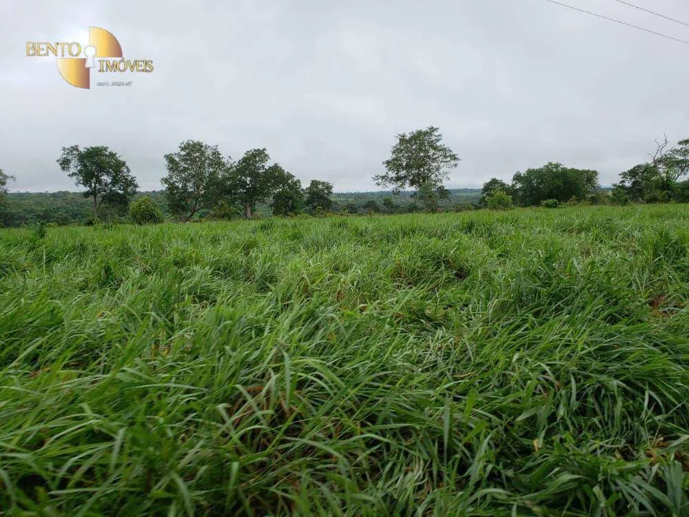 Fazenda à venda de 9.985 ha em Cuiabá, MT, Brasil