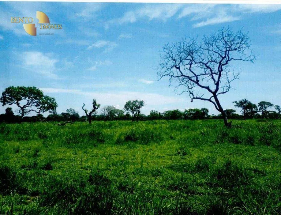 Fazenda à venda de 9.985 ha em Cuiabá, MT, Brasil