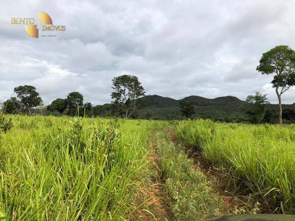 Fazenda à venda de 9.985 ha em Cuiabá, MT, Brasil