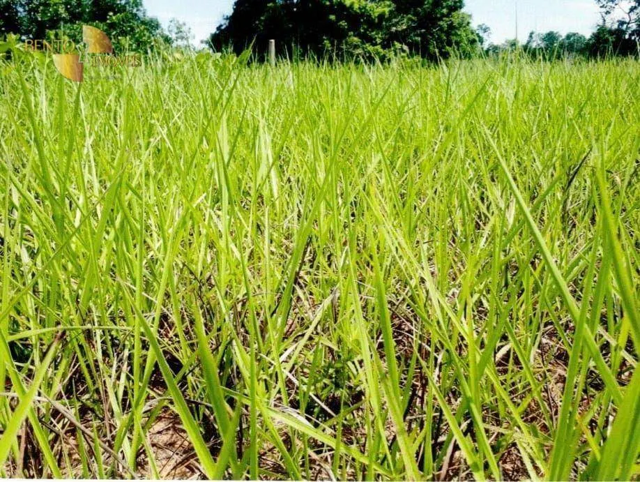 Fazenda à venda de 9.985 ha em Cuiabá, MT, Brasil
