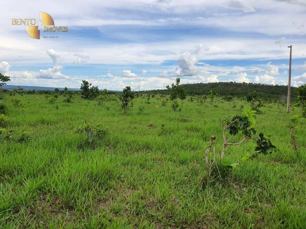 Fazenda à venda e para Arrendar de 3.250 ha em Paranatinga, MT, Brasil