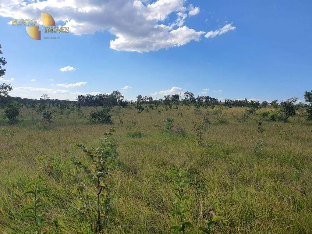 Fazenda à venda e para Arrendar de 3.250 ha em Paranatinga, MT, Brasil