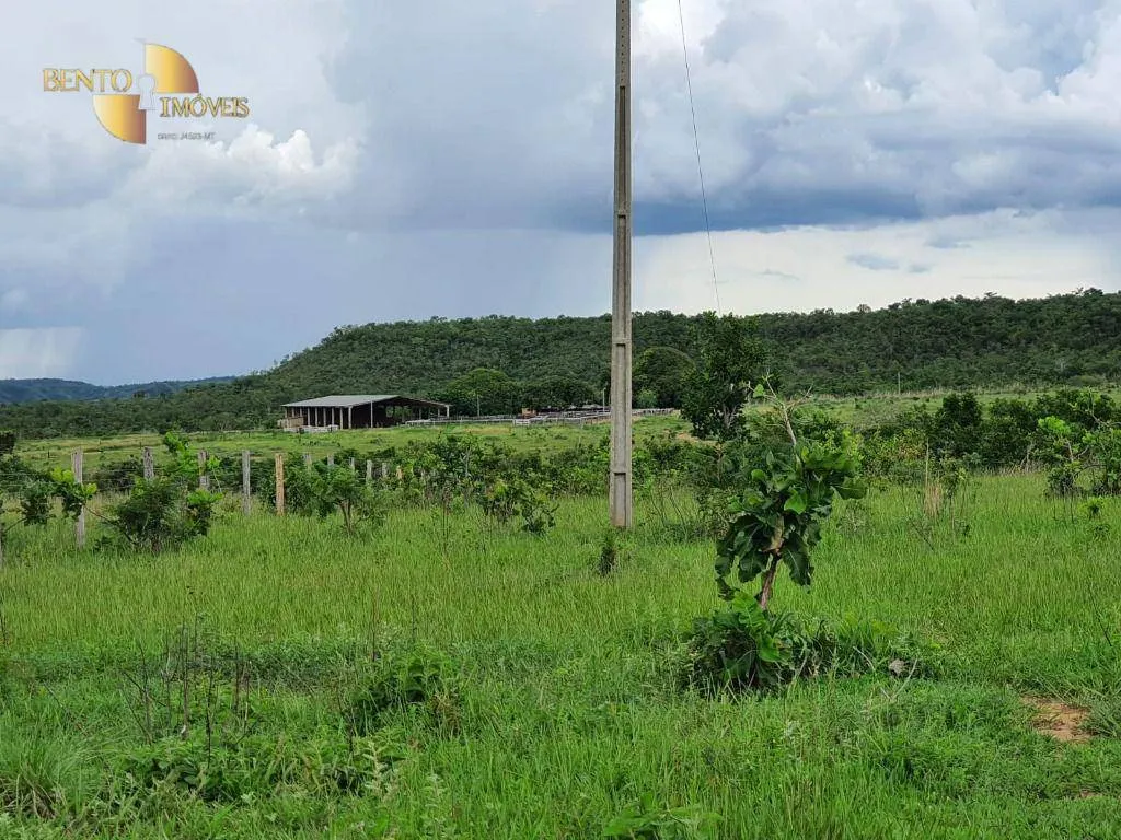 Fazenda à venda e para Arrendar de 3.250 ha em Paranatinga, MT, Brasil