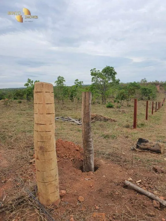 Fazenda à venda e para Arrendar de 3.250 ha em Paranatinga, MT, Brasil