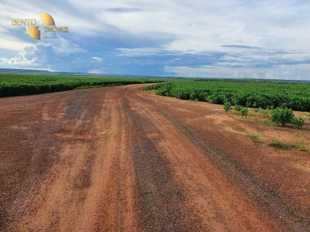 Fazenda à venda e para Arrendar de 3.250 ha em Paranatinga, MT, Brasil