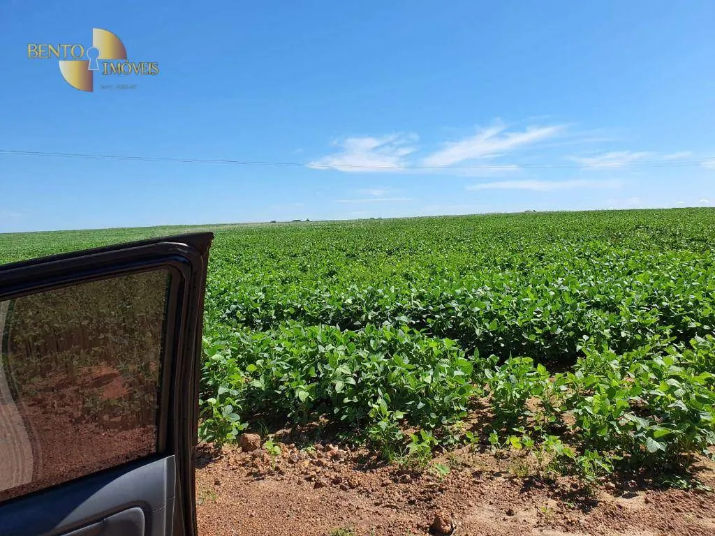 Fazenda à venda e para Arrendar de 3.250 ha em Paranatinga, MT, Brasil