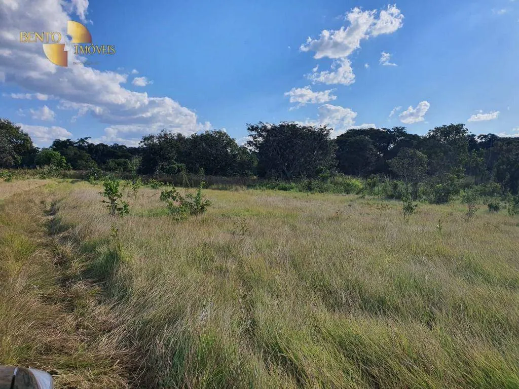Fazenda à venda e para Arrendar de 3.250 ha em Paranatinga, MT, Brasil
