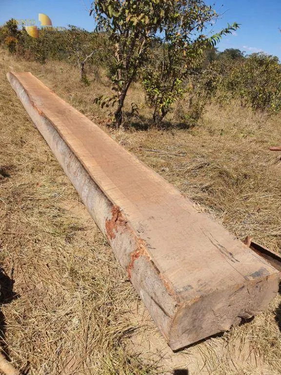 Fazenda à venda e para Arrendar de 3.250 ha em Paranatinga, MT, Brasil