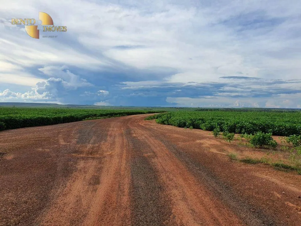 Fazenda à venda e para Arrendar de 3.250 ha em Paranatinga, MT, Brasil